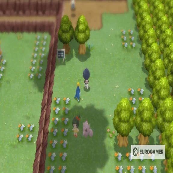 Pokemon Brilliant Diamond and Shining Pearl - Gameplay Walkthrough