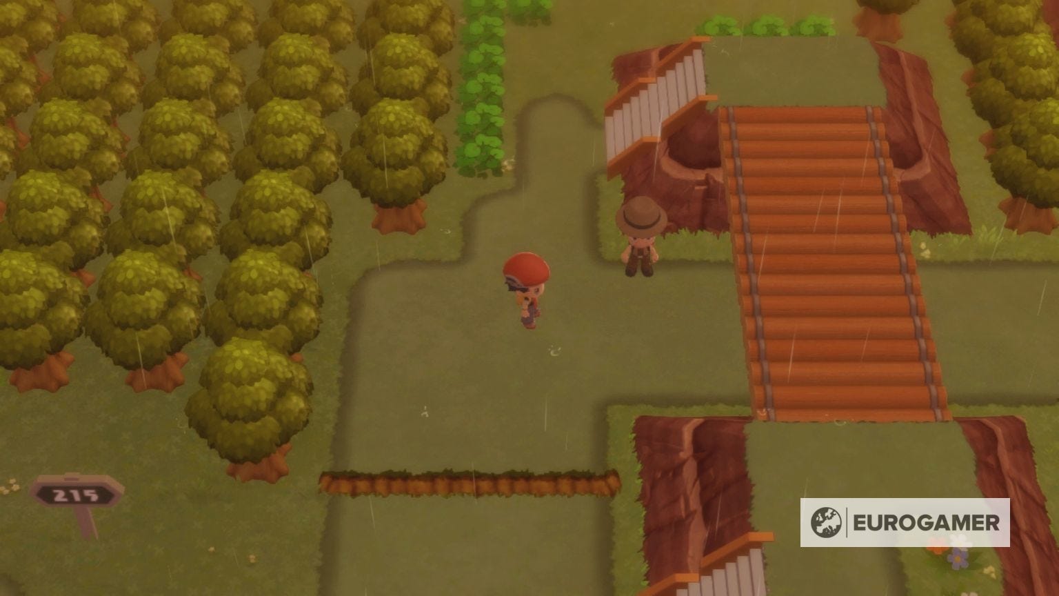 Route 215 Pok mon Trainers And Items In Pok mon Brilliant Diamond And Route 215 Pok mon Trainers And Items In Pok mon Brilliant Diamond And