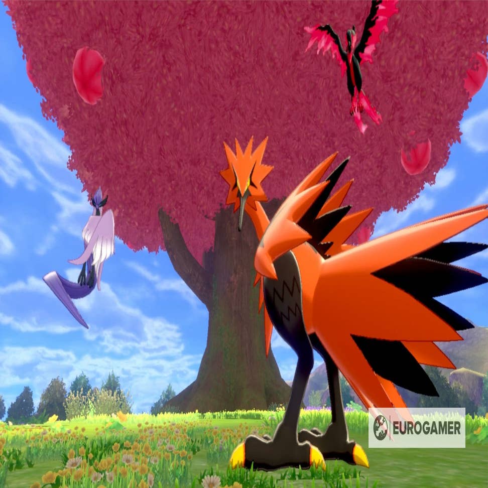 Pokemon Sword & Shield': 10 Things to Do After Beating The Crown