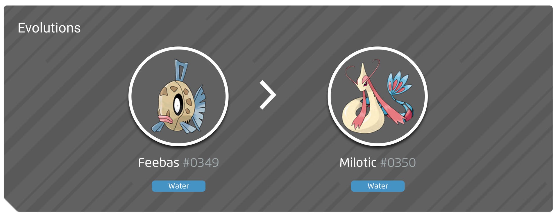 Feebas Evolution Line Feebas 100% perfect IV stats, shiny Milotic preview in Pokémon Go ...