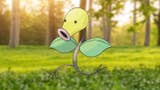 Image for Bellsprout 100% perfect IV stats, shiny Bellsprout in Pokémon Go