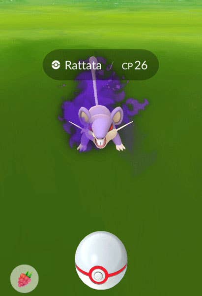 Pokemon Go: 10 Best Shadow Pokemon, Ranked By Appearance