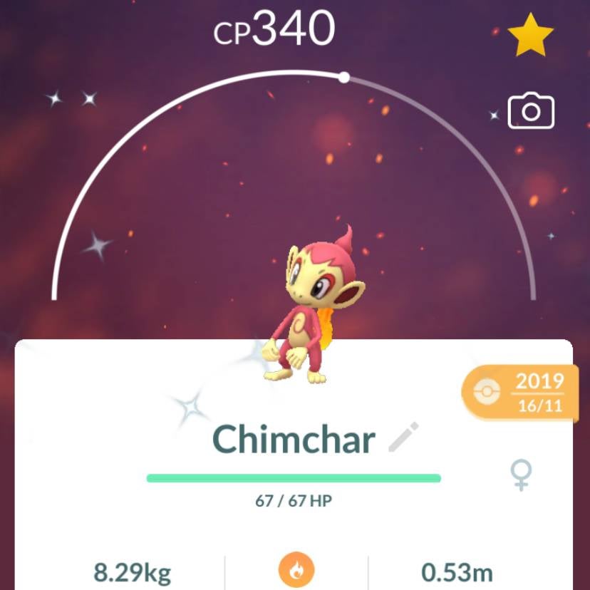 Chimchar 100 perfect IV stats, shiny Chimchar in Pokémon Go explained