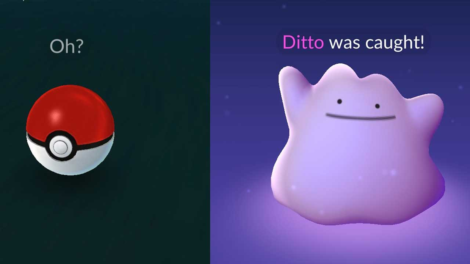 Ditto Now Available In Pokémon GO