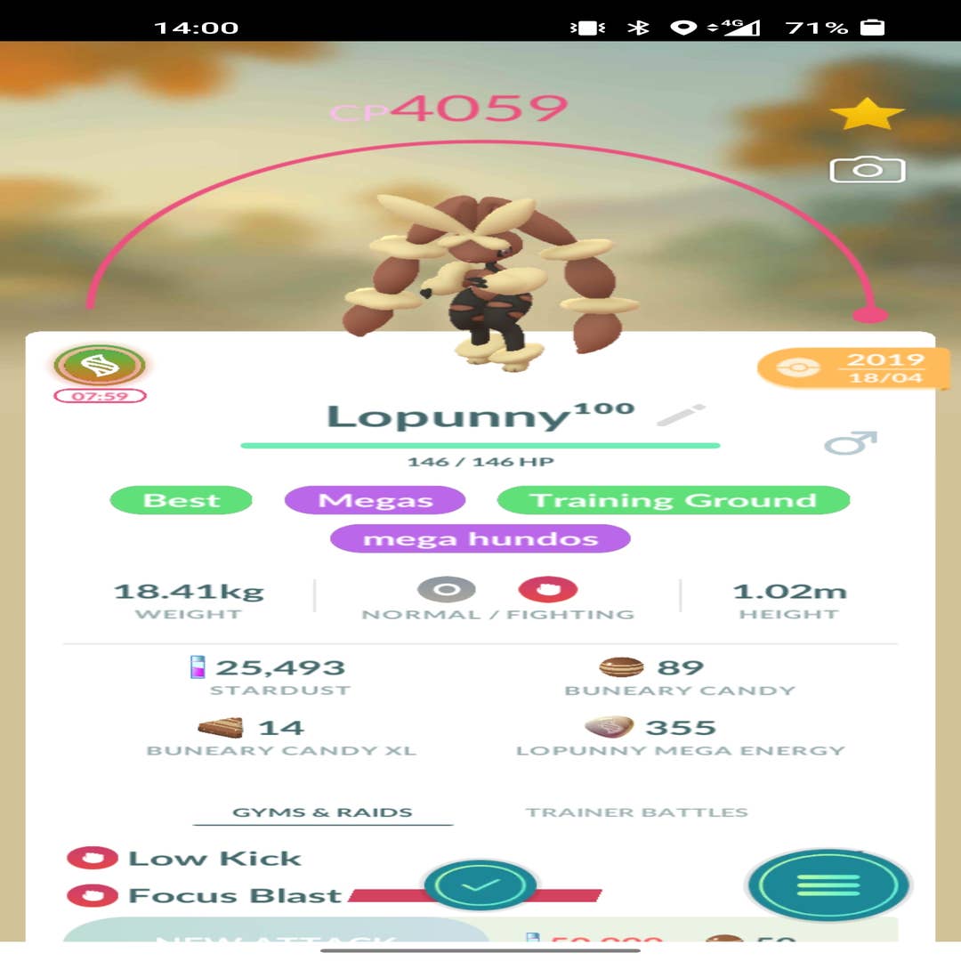 Pokémon Go Mega Loppuny counters, weaknesses and moveset explained