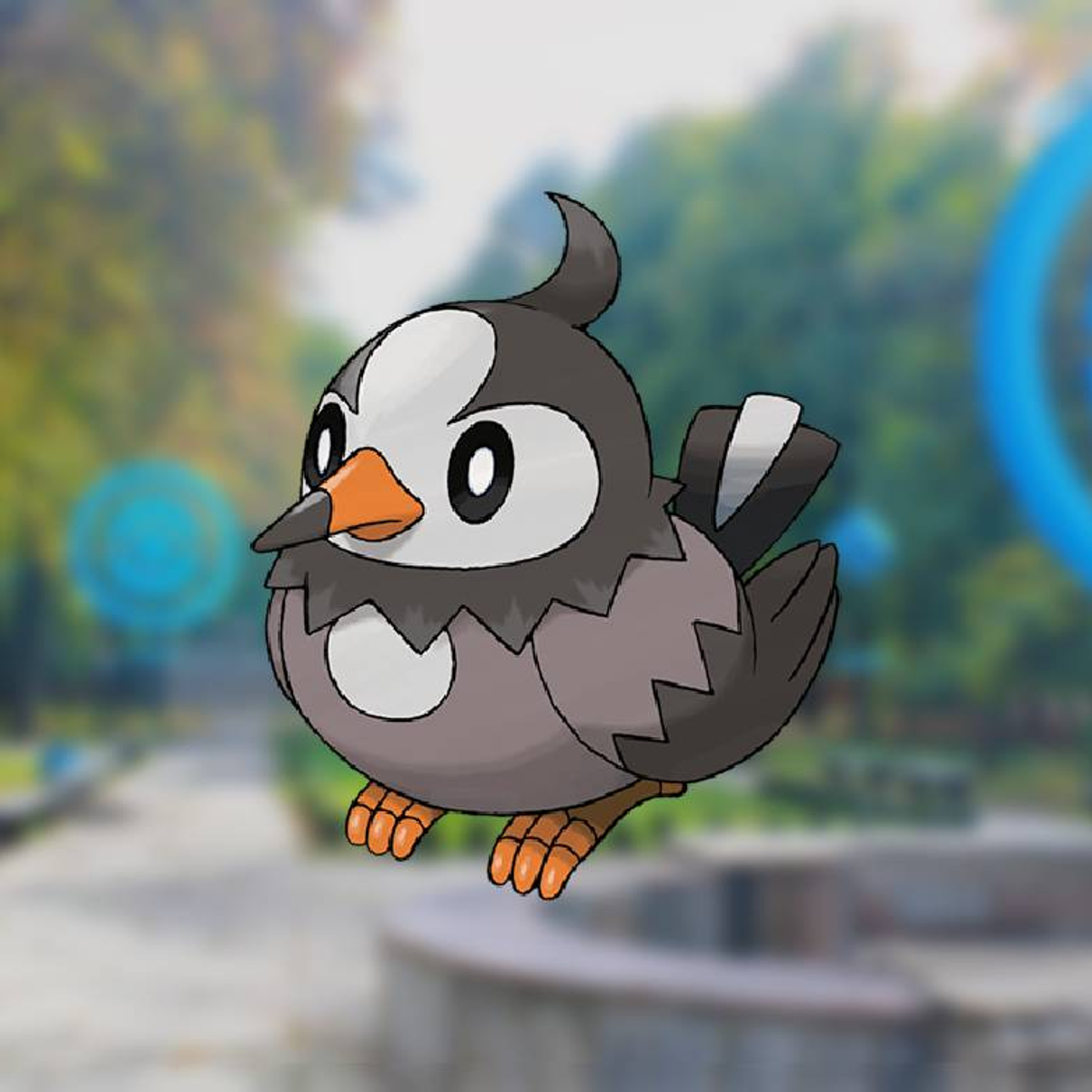 Staravia Evolution Chart