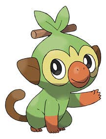 Pokémon Sword and Shield starters Sobble, Scorbunny and Grookey -  evolutions, base stats and which starter is best?