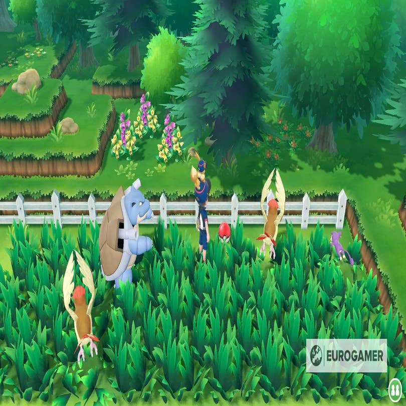 500 miles of tall grass: a Pokémon Go road trip - The Verge