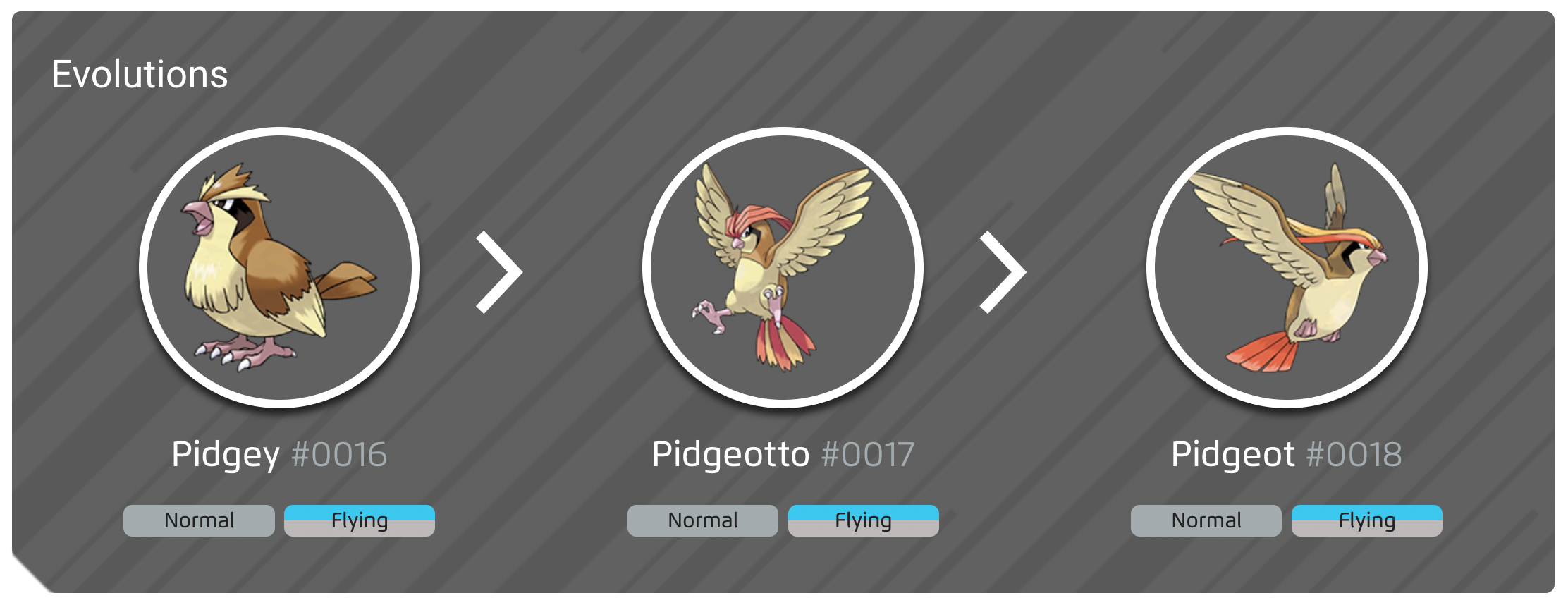 Pidgey 100 Perfect IV Stats Shiny Pidget In Pok Mon Go Eurogamer Net   Pokemon Pidgey Evolution Line 