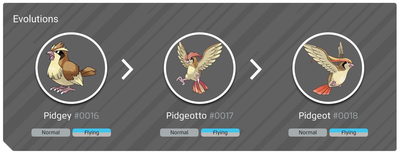 Pidgey Evolution Chart Pidgey 100% perfect IV stats, shiny Pidget in Pokémon Go | Eurogamer.net