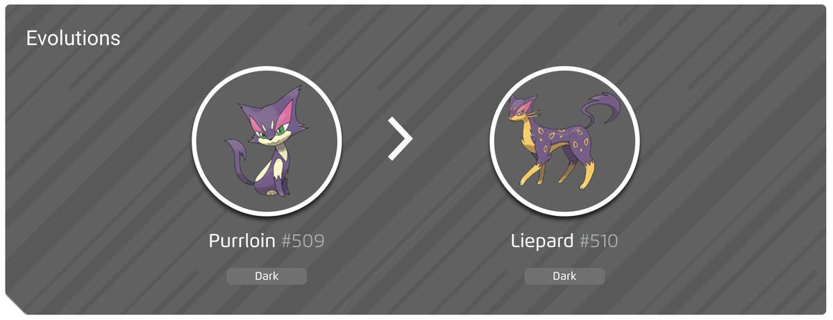 A Che Livello Si Evolve Purrloin