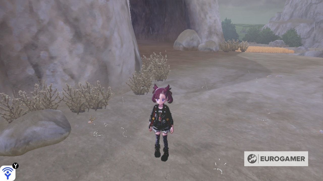 Pokémon Isle of Armor Diglett locations Every Diglett location and