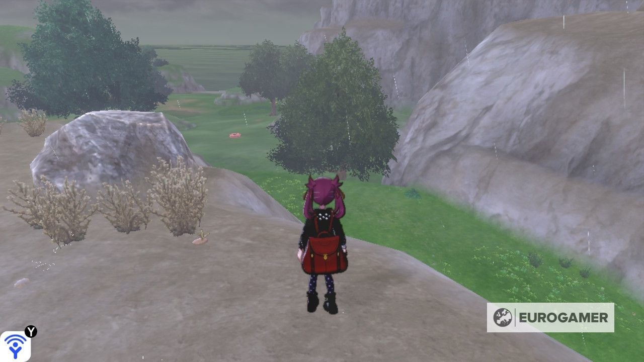 Pokémon Isle of Armor Diglett locations Every Diglett location and