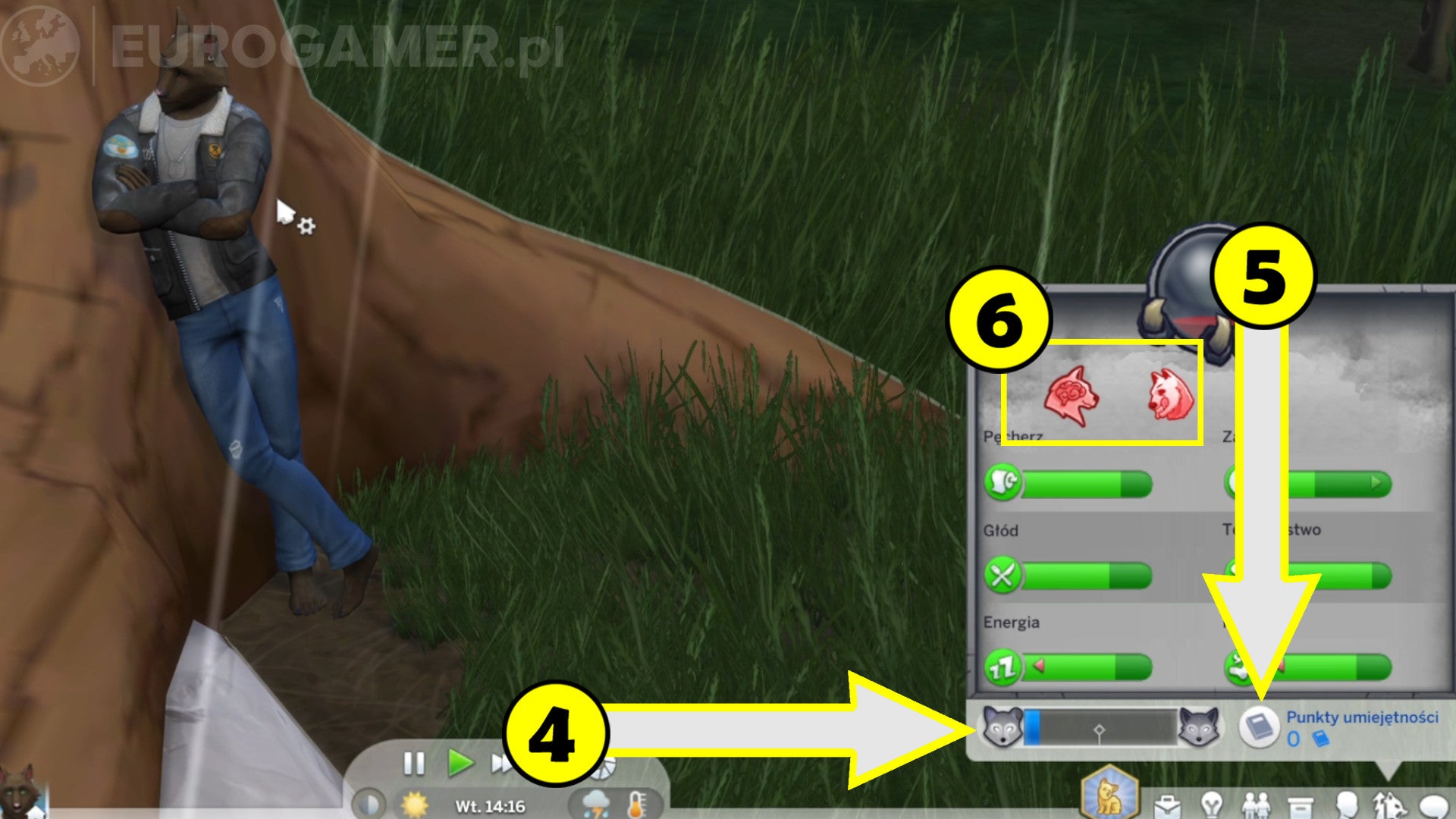 Sims 4 Wilkołaki - jak grać wilkołakiem, furia, zdolności | Eurogamer.pl