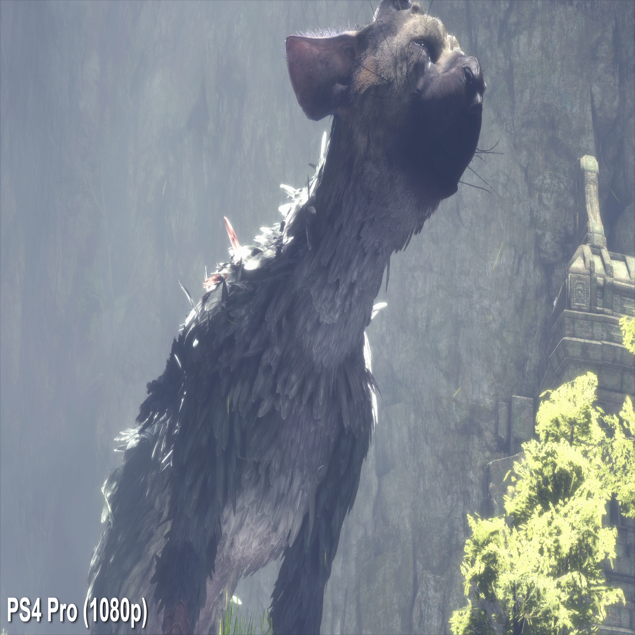 The Last Guardian Suffers From Performance Issues On Both PS4 & PS4 Pro