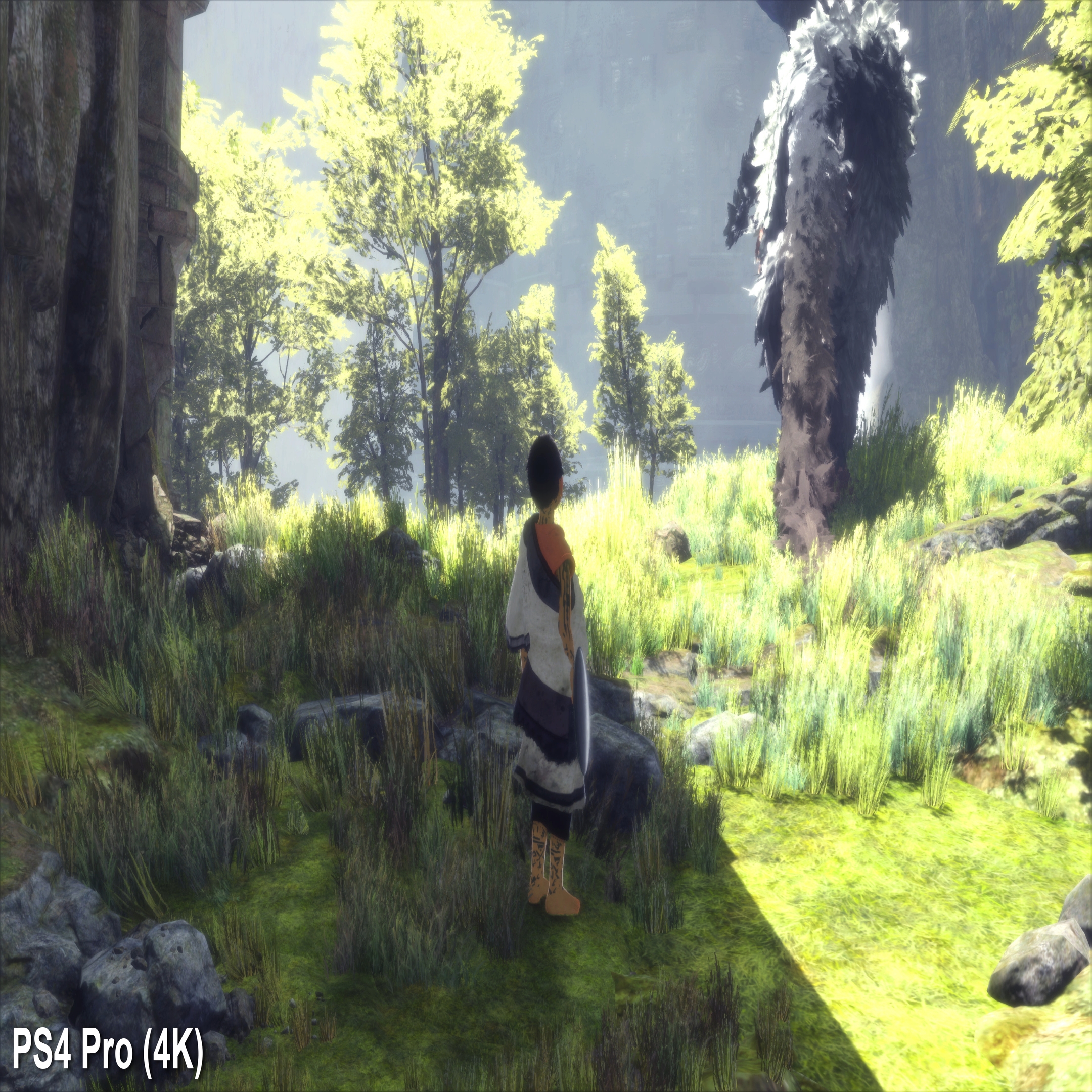 THE LAST GUARDIAN Gameplay Walkthrough Part 1 [4K HD PS4 PRO] - No