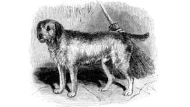 A scruffy dog stands by a broom in an illustration from 'The Moor and the Loch'.