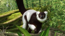 Planet Zoo adds lemurs and cakes its free anniversary update