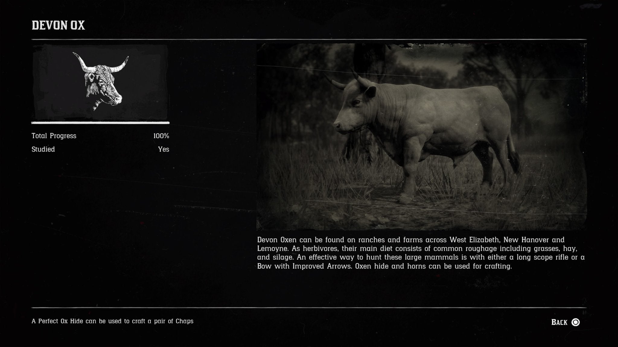 Red Dead Redemption 2 Perfect Pelts Get Perfect Animal Pelts in Red