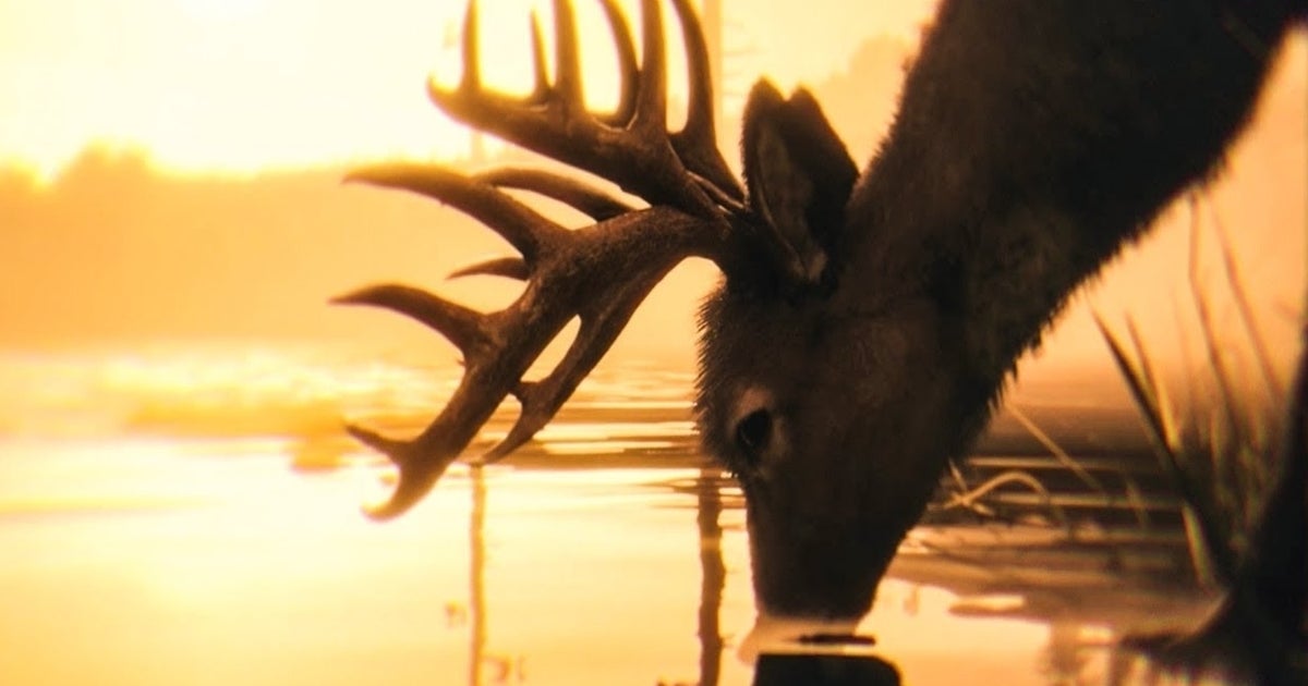 Red Dead Online now lets you transform into a deer | Eurogamer.net