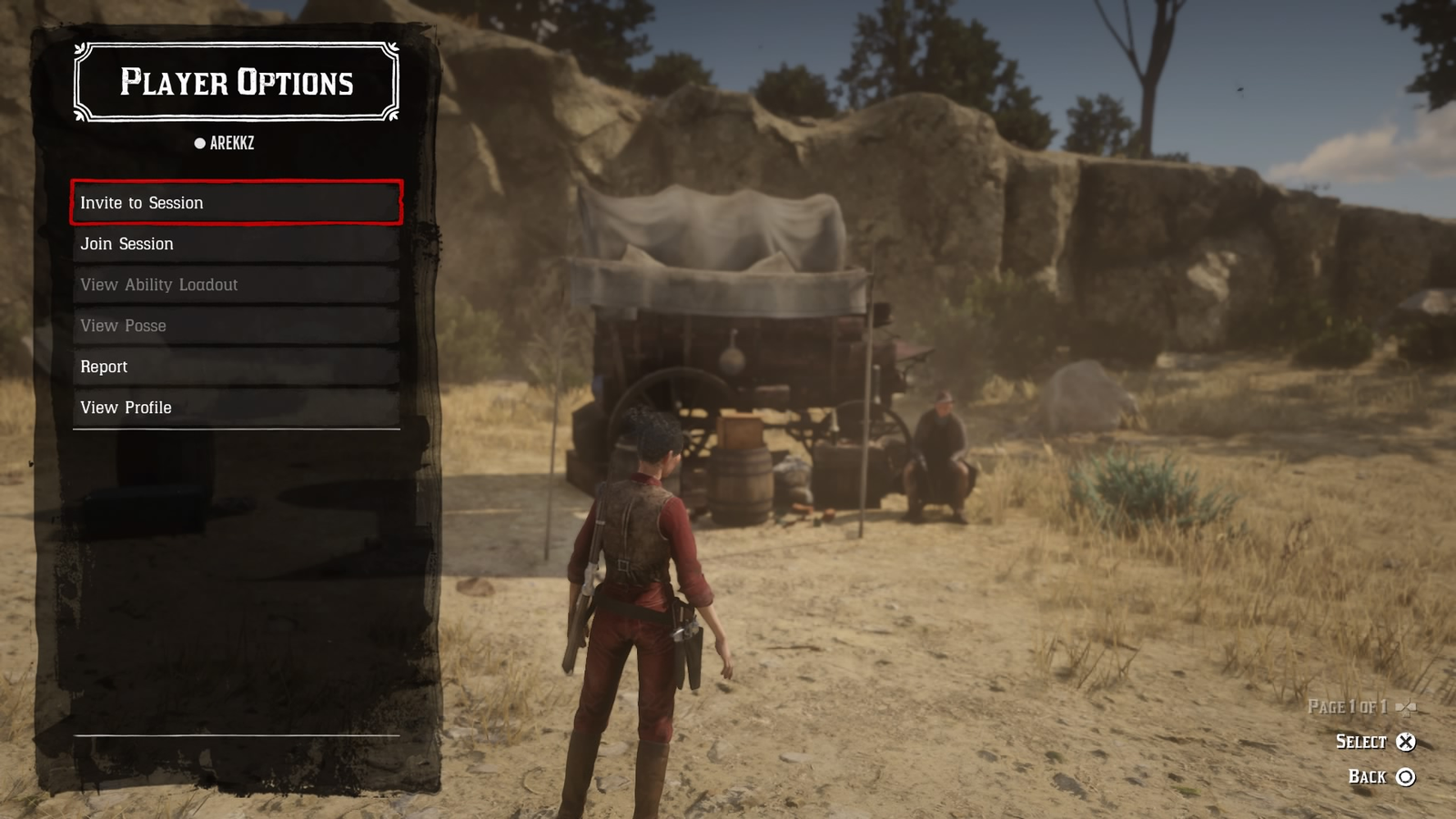 Red Dead Redemption 2 Online + Story(PS4 & PS5 Only)
