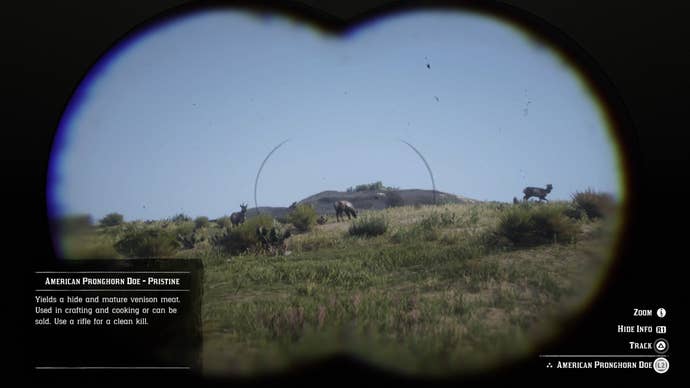 Игрок Red Dead Redemption 2 входит в режим от первого лица, чтобы смотреть в бинокль и охотиться на животных.