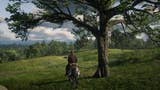 Red Dead Redemption 2 Dreamcatcher locations - where to find all Dreamcatchers
