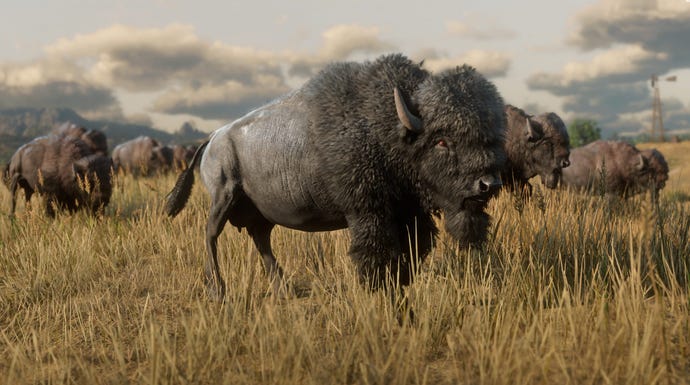 A field full of Bisons in Red Dead Redemption 2.