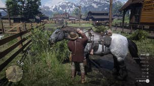 How to get a horse brush in Red Dead Redemption 2