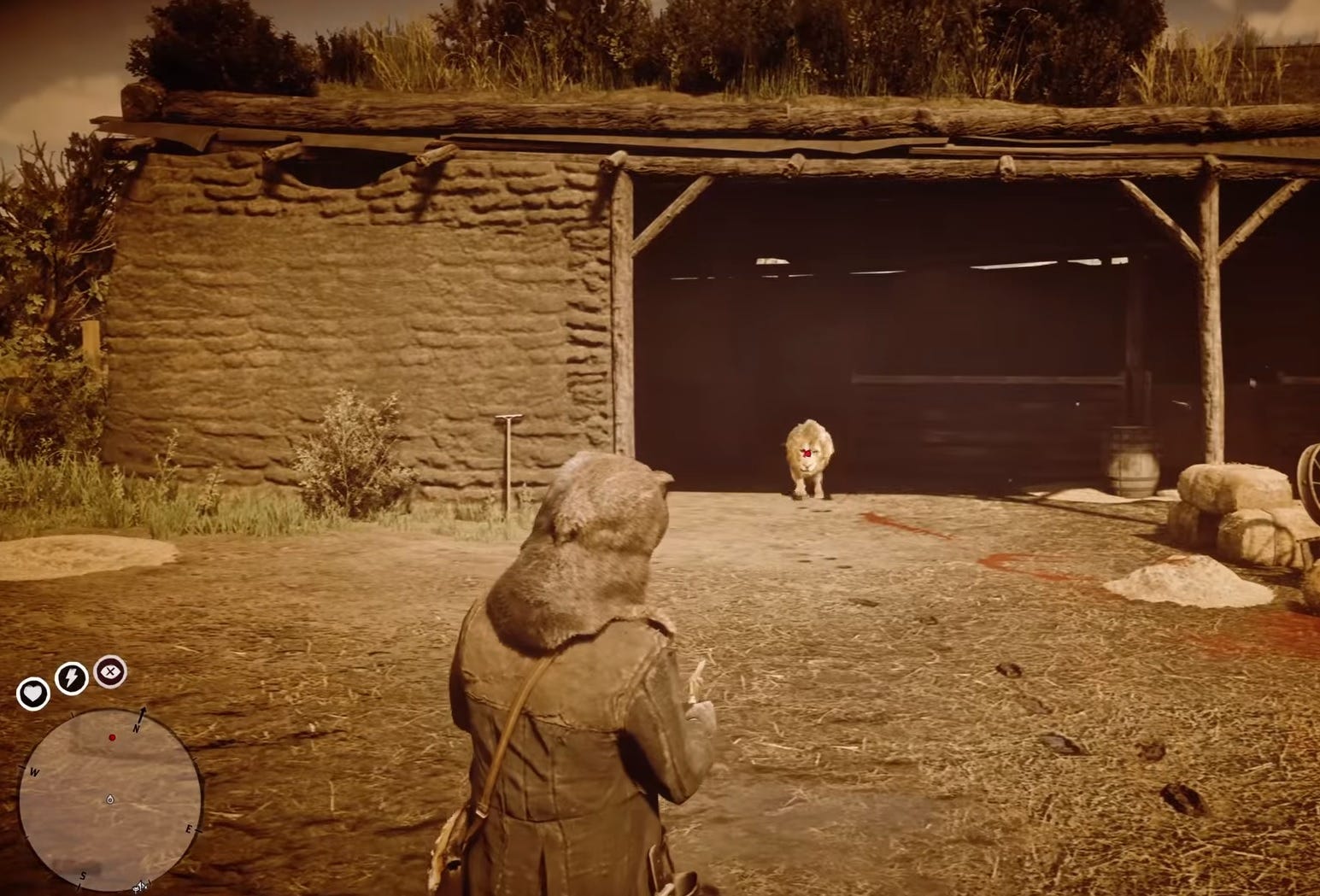 Zebra Rdr2 Red Dead Redemption 2: He's British, Of Course Stranger mission - Where ...