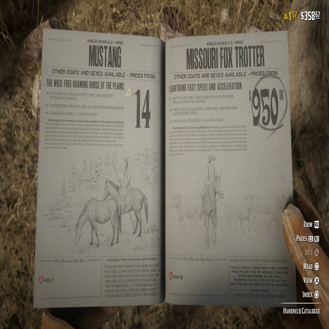 Red Dead Online Horses - Horse Insurance Explained, How Get the Best Horse in Dead Online | VG247