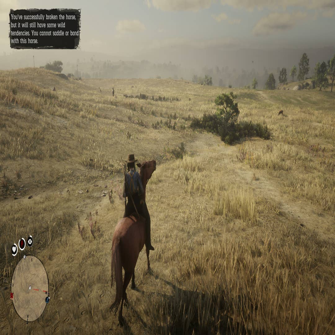 Cavalos selvagens em RDR 2: como capturar, como montar e domar um cavalo