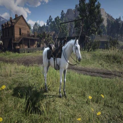 Como domar um cavalo em Red Dead Redemption 2 – instruções para a  domesticação