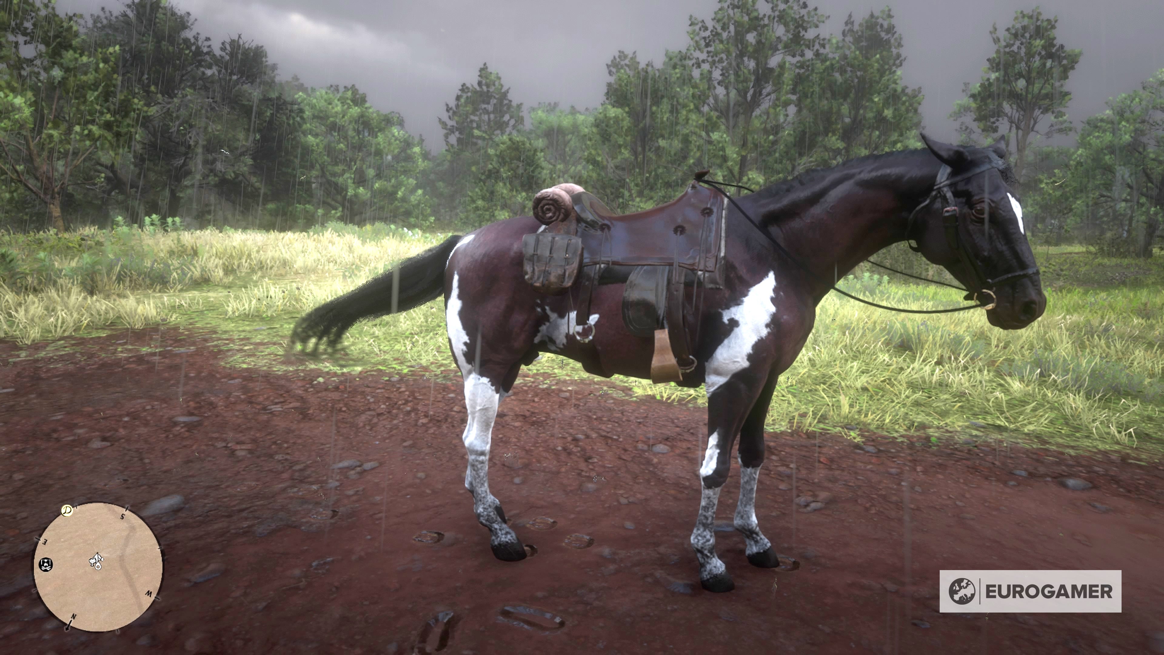 Red Dead Redemption 2 Pferde Verkaufen Red Dead Redemption 2: Alle Pferde und wie ihr das beste Pferd fangt