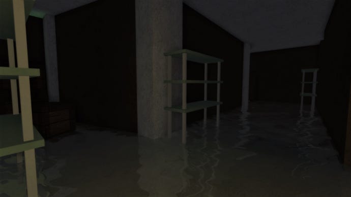 A darkened, flooded basement filled with empty shelves.