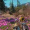 Far Cry: New Dawn screenshot