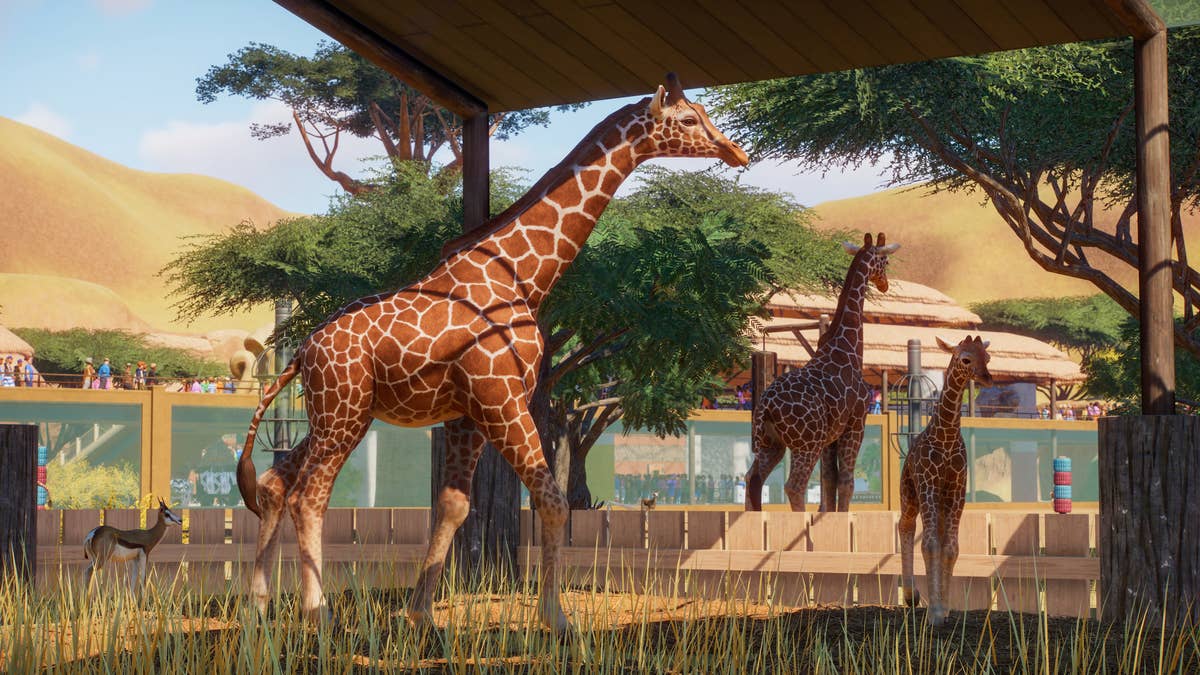 Beta Impressions: Planet Zoo Might Very Well Be The Zoo Tycoon Successor We Need!