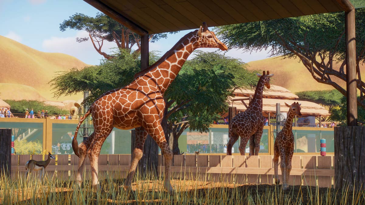 Planet Zoo: mais que um brilhante tycoon, um alerta sobre conservação  animal – Rubber Chicken