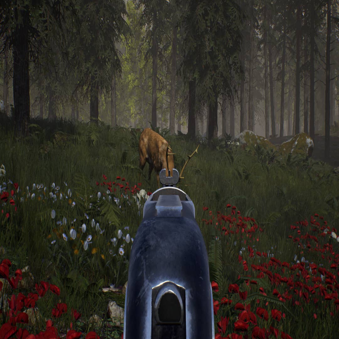 We can finally hunt with a rifle on Ranch Simulator (update and