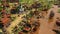 Age of Empires 3: Definitive Edition screenshot