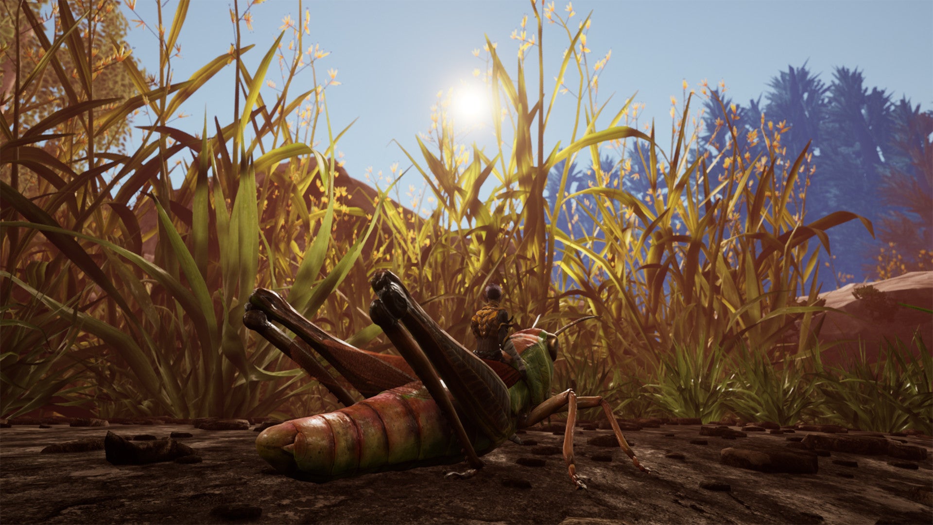 Smalland: Survive The Wilds | Rock Paper Shotgun