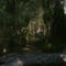 Screenshots von Crysis Remastered Trilogy