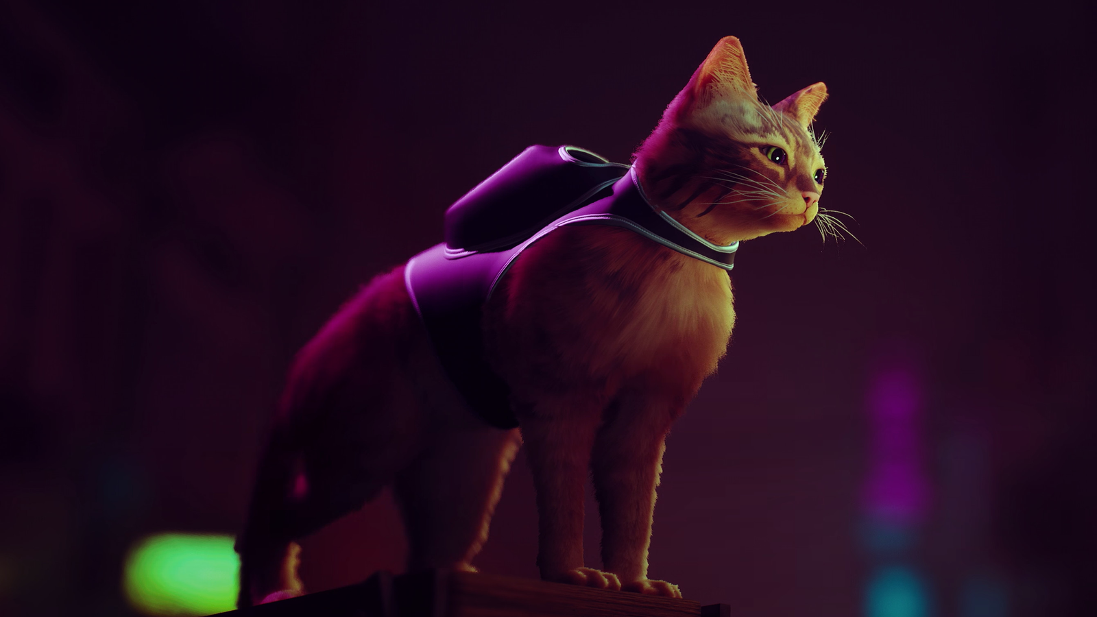 Análisis de Stray: amor felino y ciencia ficción en 'el juego del gato
