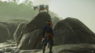 I think the Ghost of Tsushima horse is Roach's brother