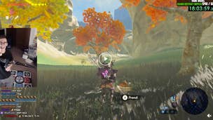 Breath of the Wild: Man defeats Blue Lynel with dance mat