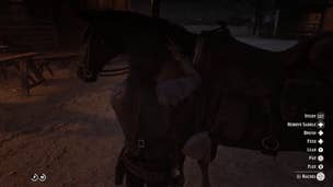 Red Dead Redemption 2 player pets horse for a full hour
