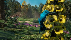 Far Cry: New Dawn's hummingbirds are photo mode magic