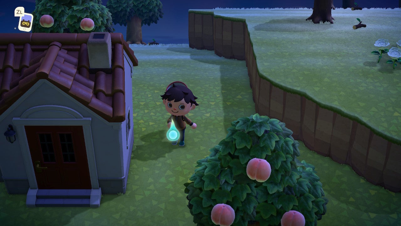 Animal Crossing New Horizons Buhu Belohnung Animal Crossing: New Horizons - Seelenfragmente für Buhu finden, so