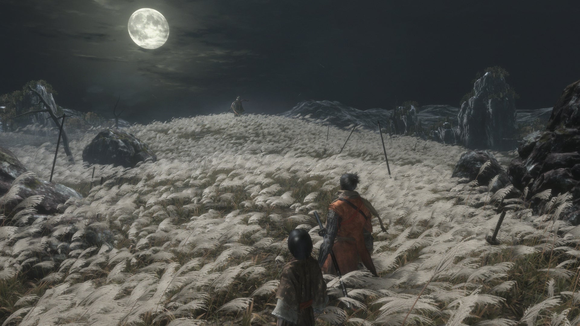 Sekiro shadows die twice best sale nintendo switch