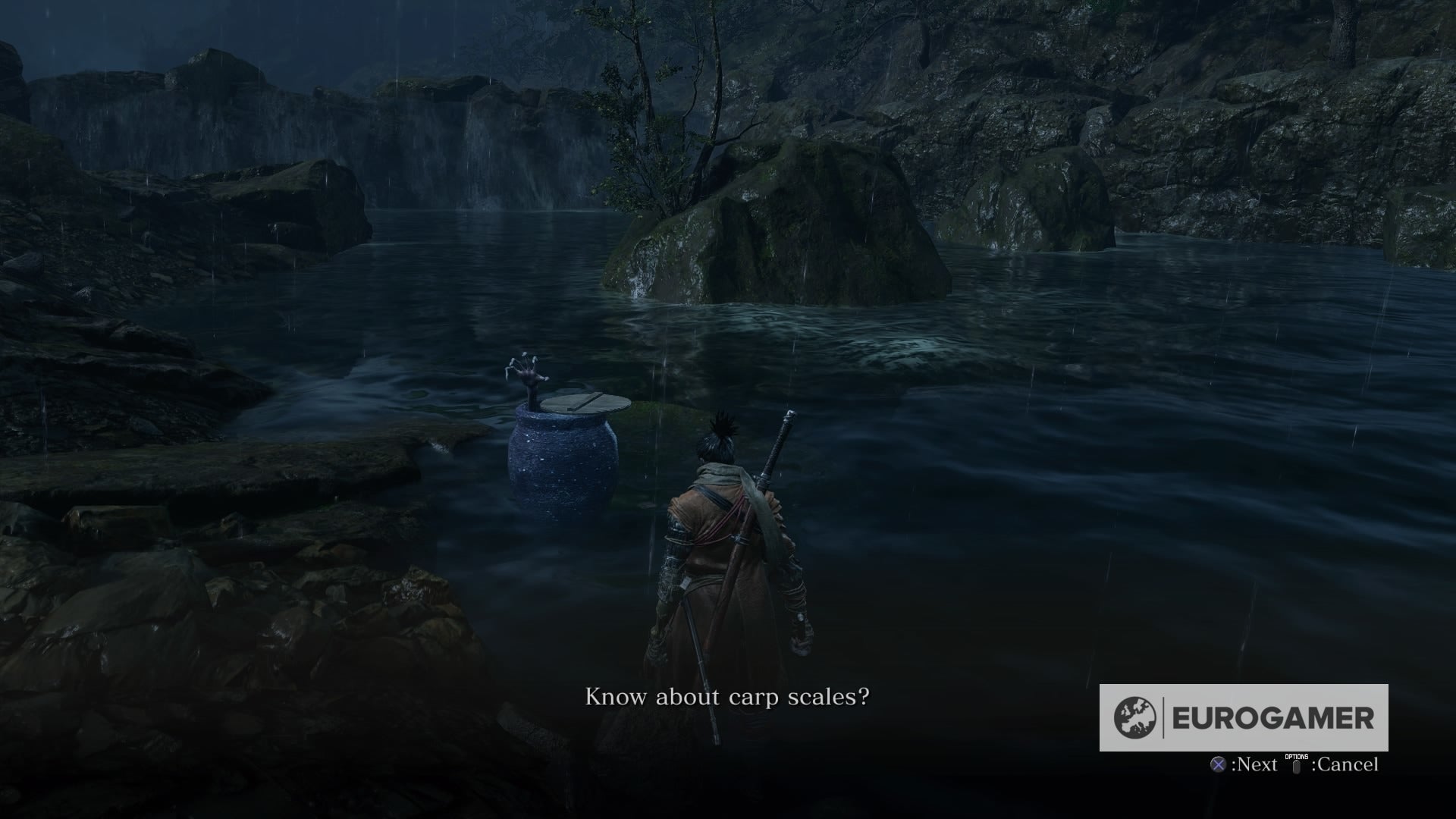 Sekiro Treasure Carp Scale locations where to find all Treasure Carp Scales